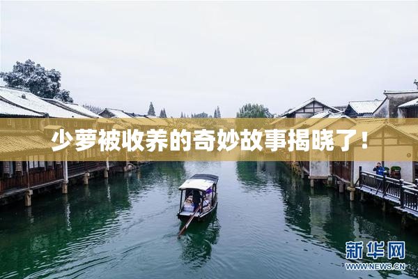 少萝被收养的奇妙故事揭晓了！