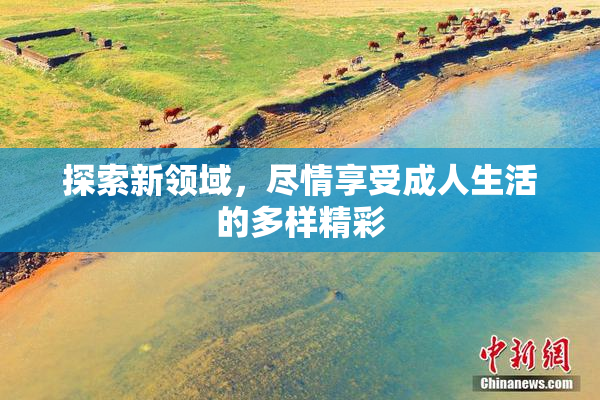 探索新领域，尽情享受成人生活的多样精彩