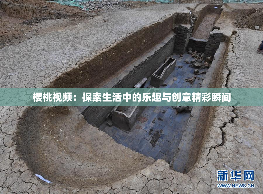 樱桃视频：探索生活中的乐趣与创意精彩瞬间