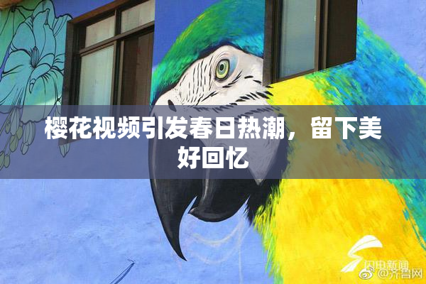 樱花视频引发春日热潮，留下美好回忆