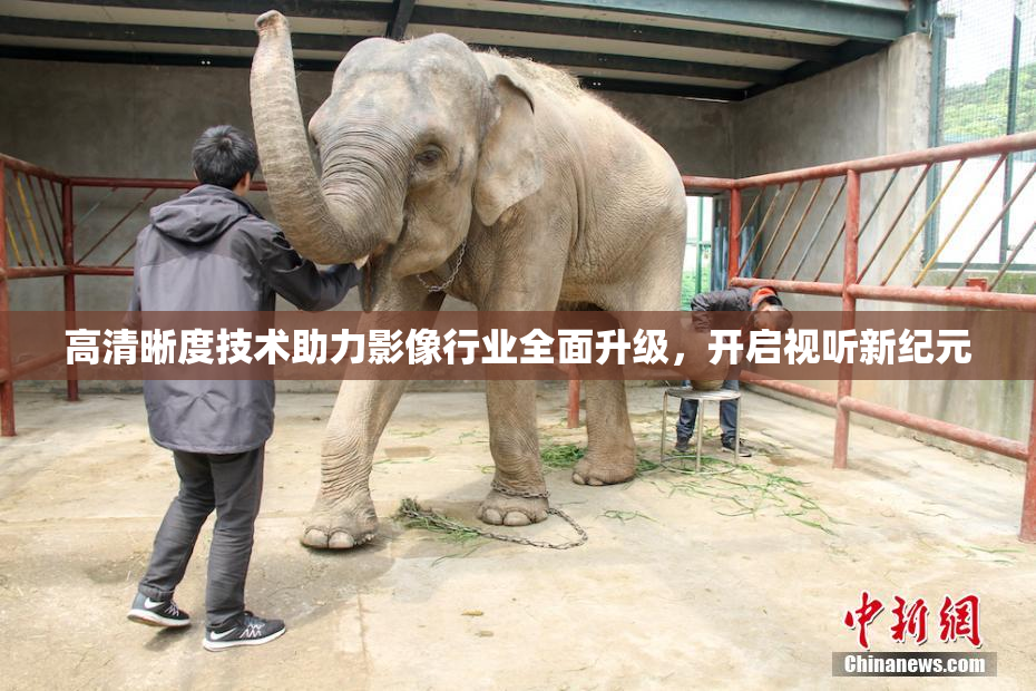 高清晰度技术助力影像行业全面升级，开启视听新纪元