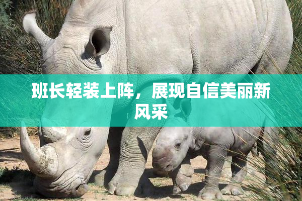 班长轻装上阵，展现自信美丽新风采
