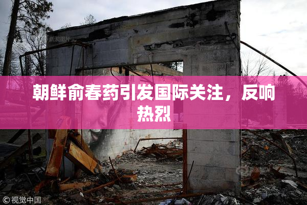 朝鲜俞春药引发国际关注，反响热烈