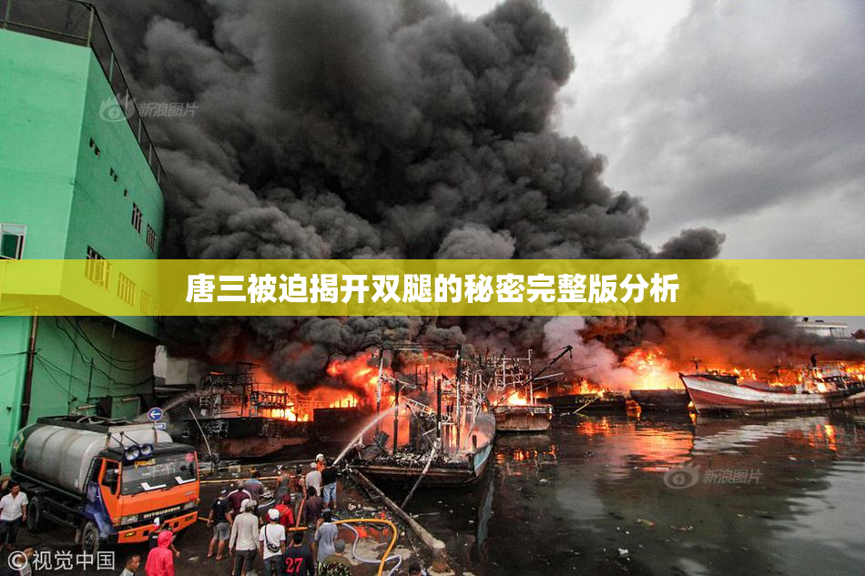 唐三被迫揭开双腿的秘密完整版分析