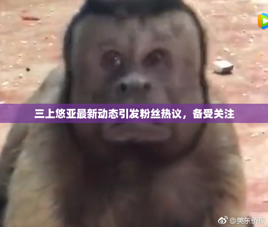 三上悠亚最新动态引发粉丝热议，备受关注