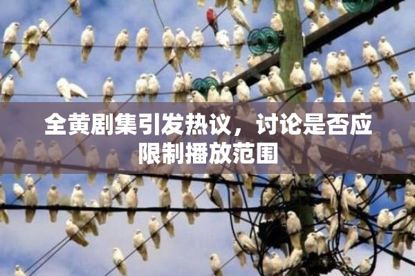 全黄剧集引发热议，讨论是否应限制播放范围