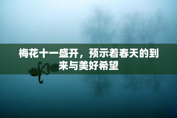 梅花十一盛开，预示着春天的到来与美好希望