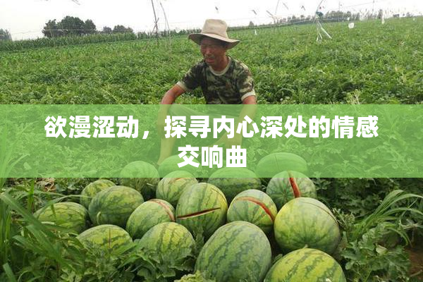 欲漫涩动，探寻内心深处的情感交响曲