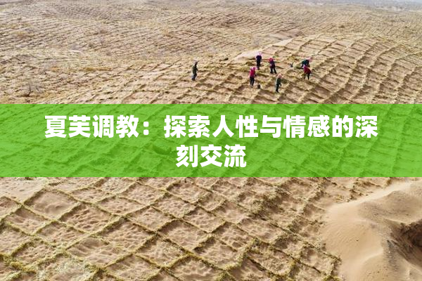 夏芙调教：探索人性与情感的深刻交流