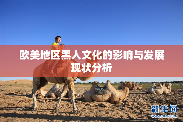 欧美地区黑人文化的影响与发展现状分析