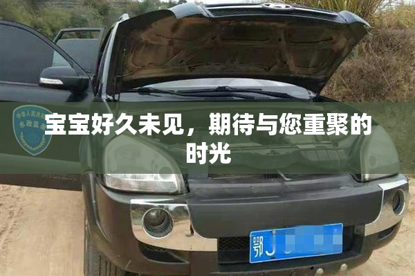 宝宝好久未见，期待与您重聚的时光
