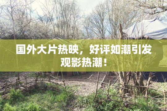国外大片热映，好评如潮引发观影热潮！