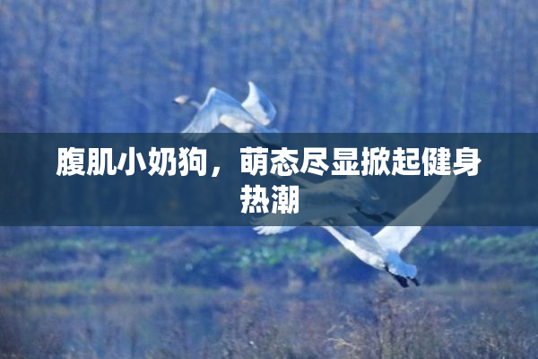 腹肌小奶狗，萌态尽显掀起健身热潮