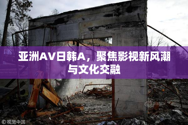 亚洲AV日韩A，聚焦影视新风潮与文化交融