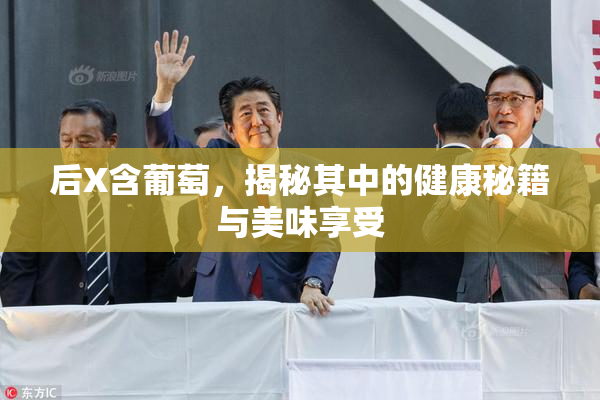 后X含葡萄，揭秘其中的健康秘籍与美味享受