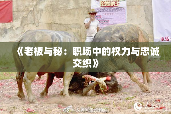 《老板与秘：职场中的权力与忠诚交织》