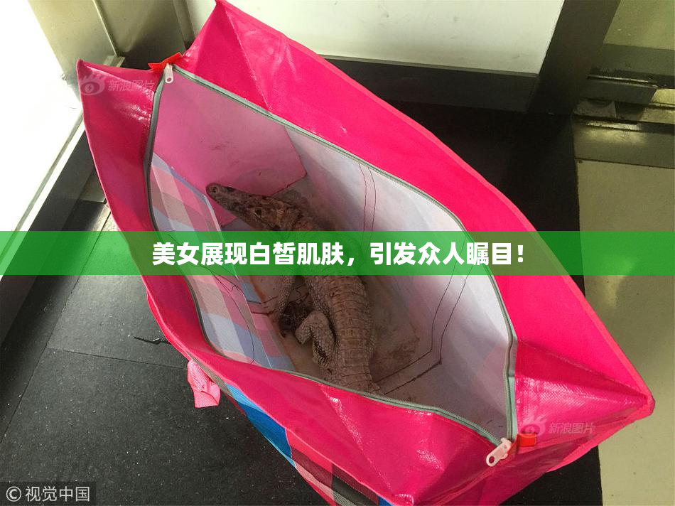 美女展现白皙肌肤，引发众人瞩目！