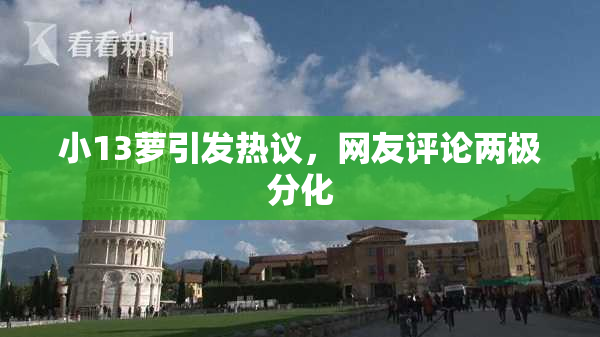 小13萝引发热议，网友评论两极分化