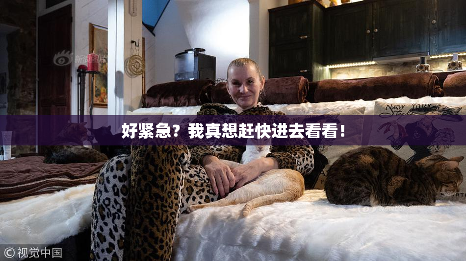 好紧急？我真想赶快进去看看！