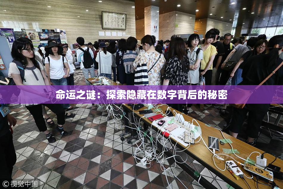 命运之谜：探索隐藏在数字背后的秘密
