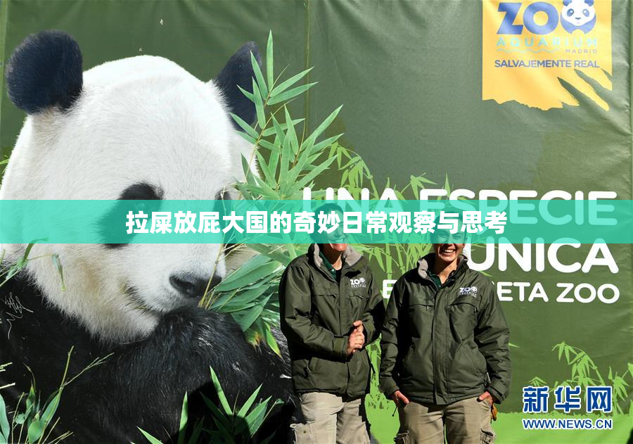 拉屎放屁大国的奇妙日常观察与思考