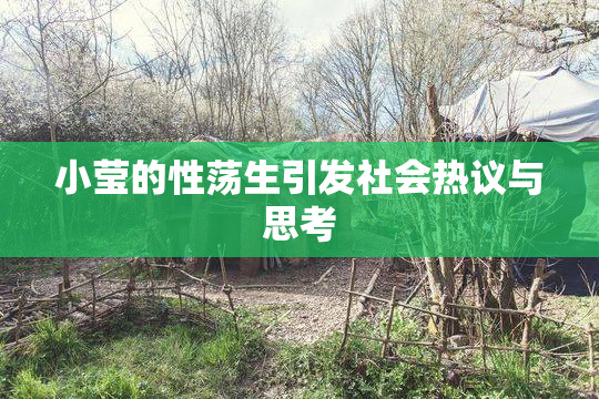 小莹的性荡生引发社会热议与思考