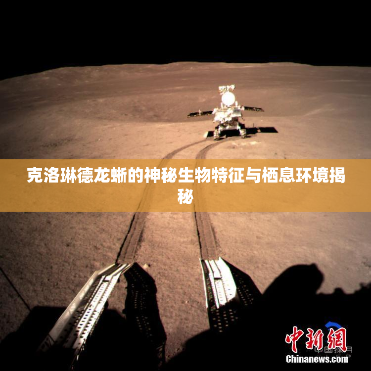 克洛琳德龙蜥的神秘生物特征与栖息环境揭秘