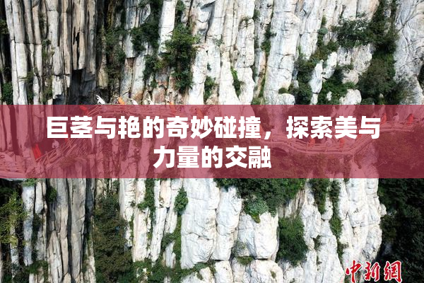 巨茎与艳的奇妙碰撞，探索美与力量的交融