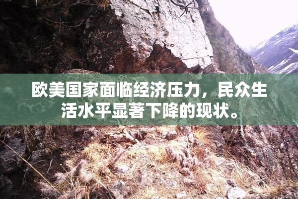 欧美国家面临经济压力，民众生活水平显著下降的现状。