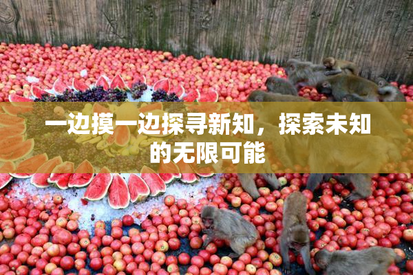 一边摸一边探寻新知，探索未知的无限可能