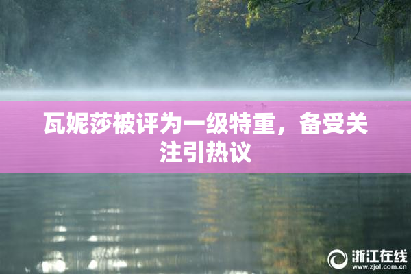 瓦妮莎被评为一级特重，备受关注引热议