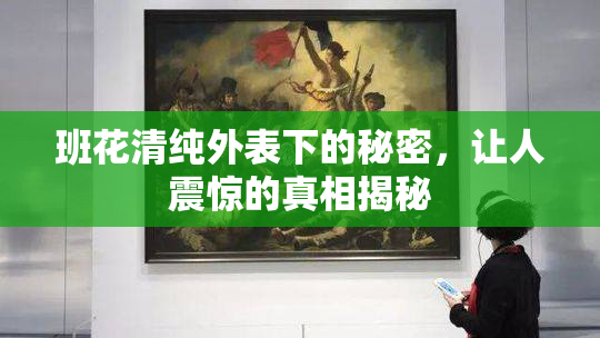 班花清纯外表下的秘密，让人震惊的真相揭秘