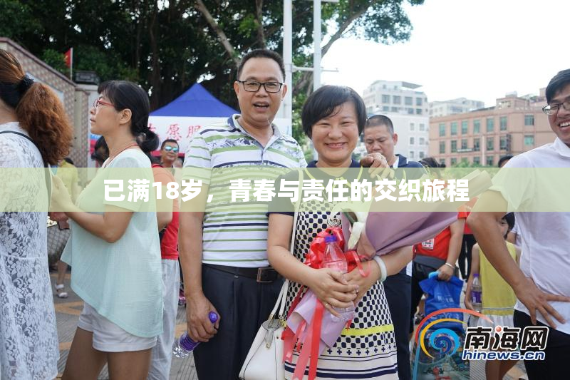 已满18岁，青春与责任的交织旅程