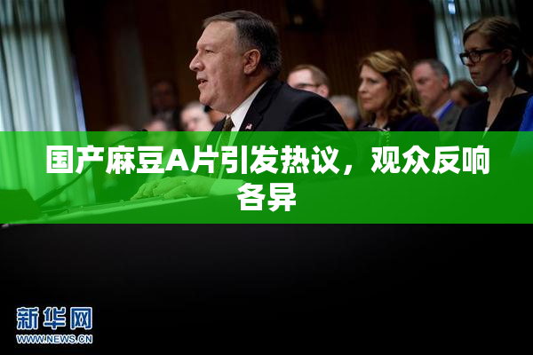 国产麻豆A片引发热议，观众反响各异