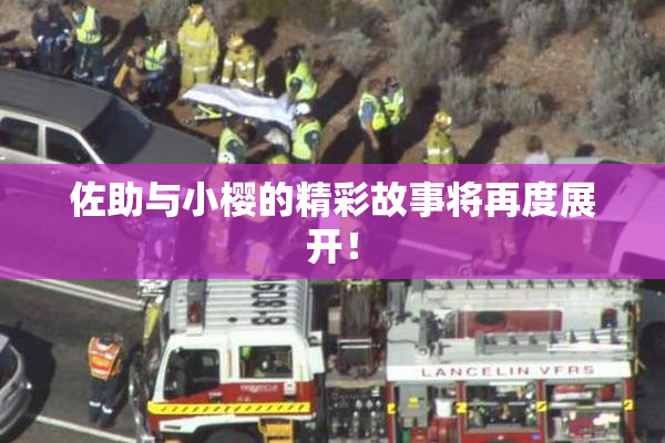 佐助与小樱的精彩故事将再度展开！