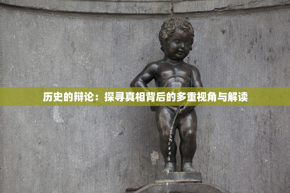 历史的辩论：探寻真相背后的多重视角与解读