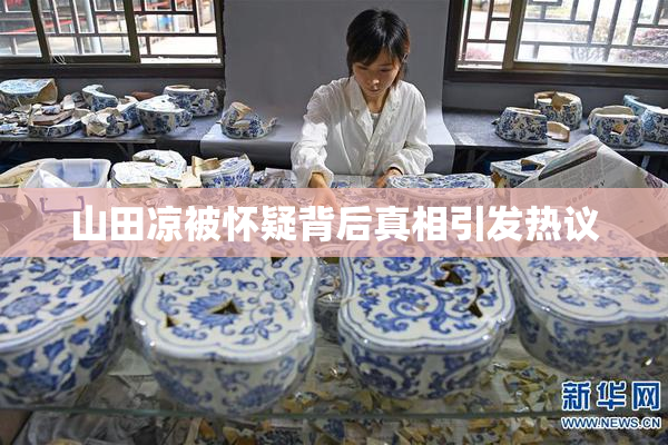 山田凉被怀疑背后真相引发热议