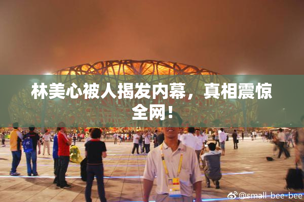 林美心被人揭发内幕，真相震惊全网！