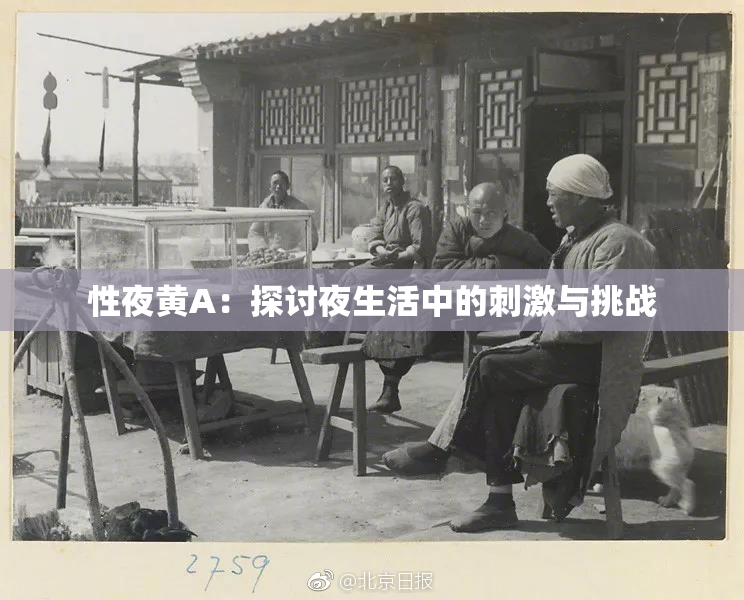 性夜黄A：探讨夜生活中的刺激与挑战