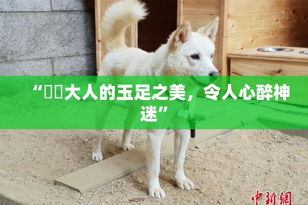 “芃芃大人的玉足之美，令人心醉神迷”