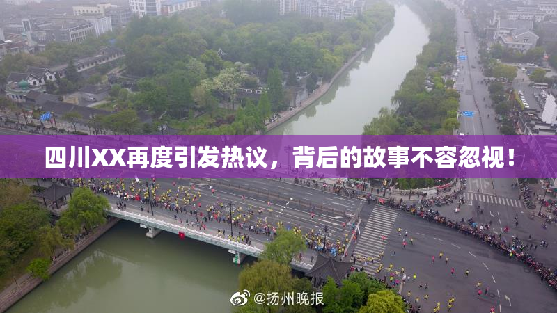 四川XX再度引发热议，背后的故事不容忽视！