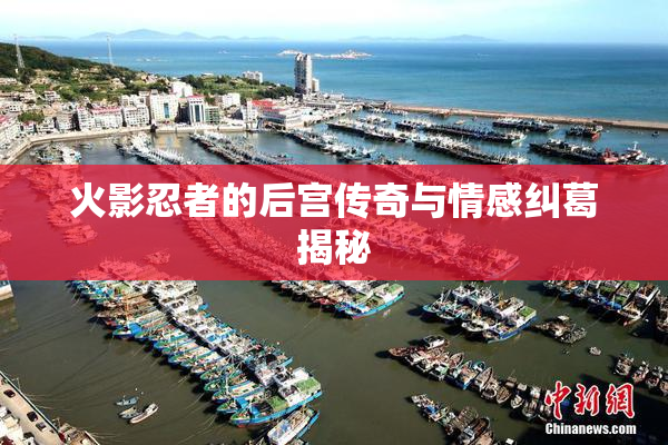 火影忍者的后宫传奇与情感纠葛揭秘