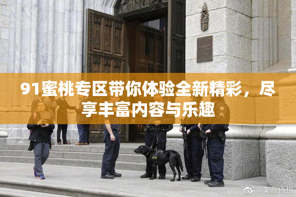 91蜜桃专区带你体验全新精彩，尽享丰富内容与乐趣