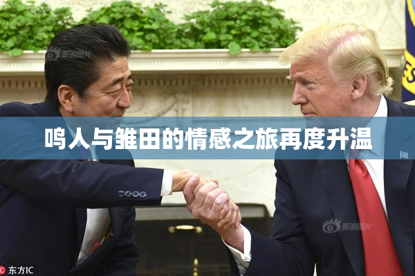 鸣人与雏田的情感之旅再度升温