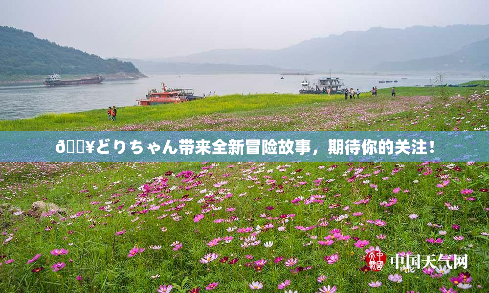 🔥どりちゃん带来全新冒险故事，期待你的关注！