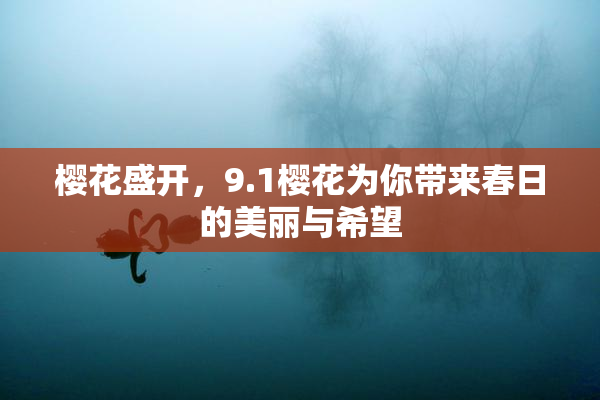 樱花盛开，9.1樱花为你带来春日的美丽与希望