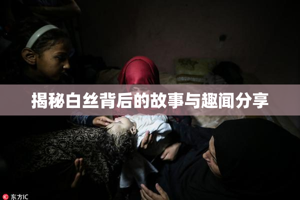 揭秘白丝背后的故事与趣闻分享