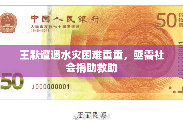 王默遭遇水灾困难重重，亟需社会捐助救助