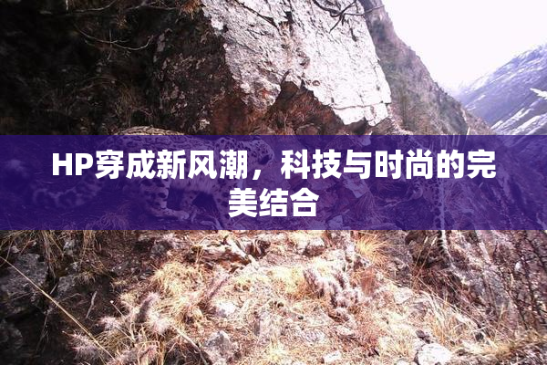 HP穿成新风潮，科技与时尚的完美结合