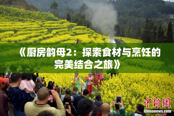 《厨房韵母2：探索食材与烹饪的完美结合之旅》